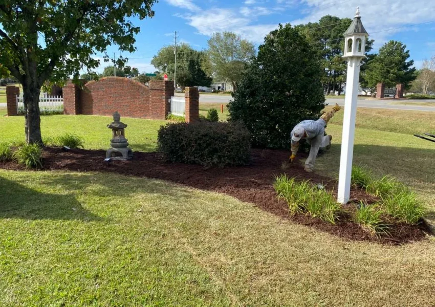 Landscaping 7